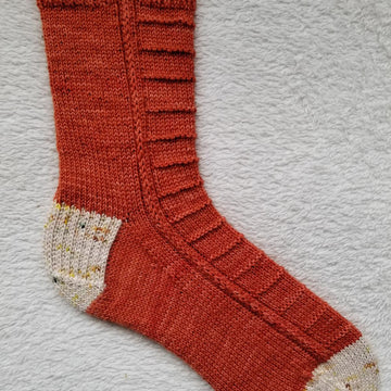 Bouctouche Boardwalk Socks