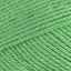 Apple Green (513)