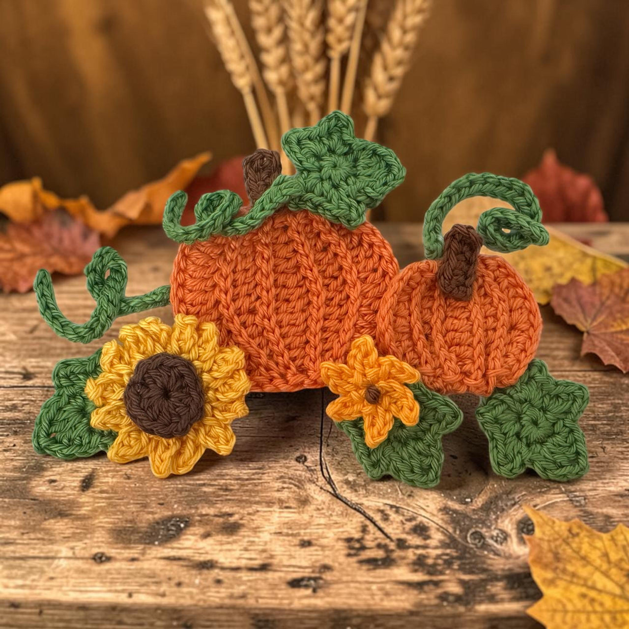 Crochet Pumpkin set Halloween applique pattern