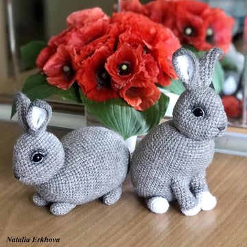 Two rabbits