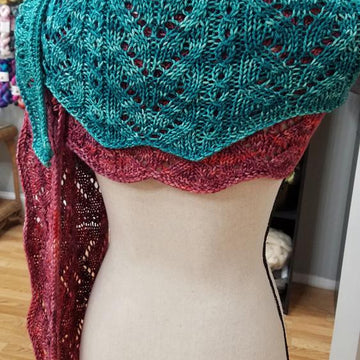Wild Wings Shawlette