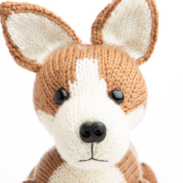 Pembroke Welsh Corgi in Deramores Studio DK - Downloadable PDF