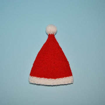 Teddy Christmas Outfit