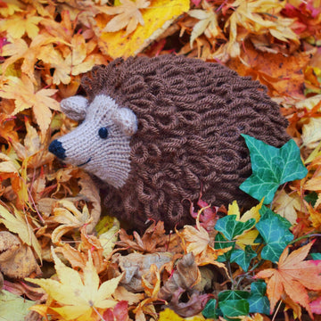 Hector the Hedgehog