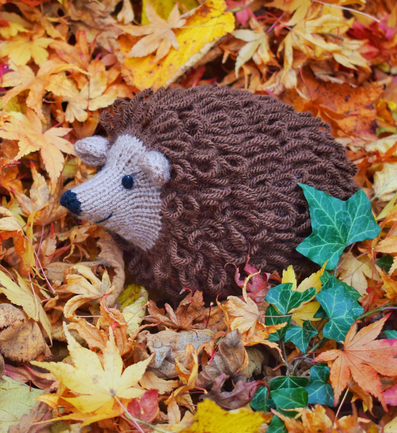 Hector the Hedgehog