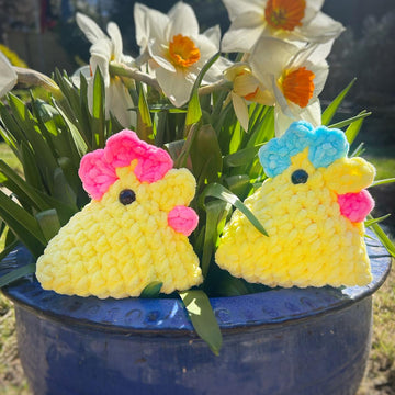 Sally The Spring Chicken