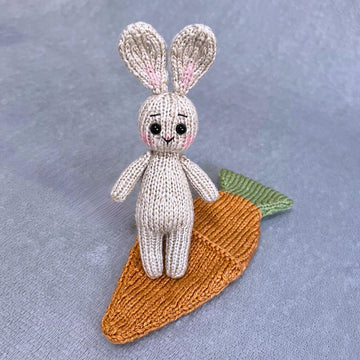 Bunny In A Carrot Bed