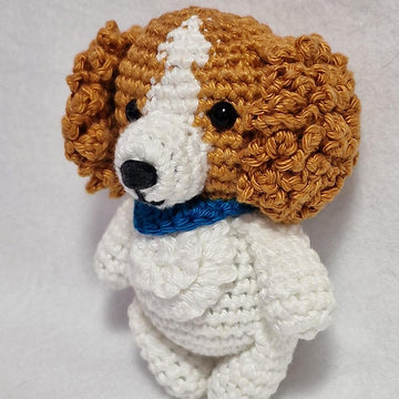 Cavalier Spaniel Dog