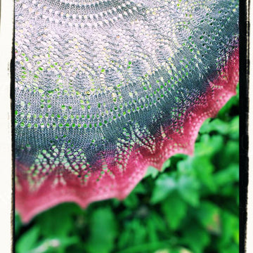 Watering in the Garden Shawlette