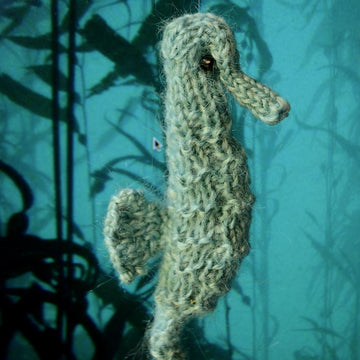 Seahorse