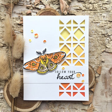 Hero Arts Clear Stamps 4"X6" - Color Layering Moth