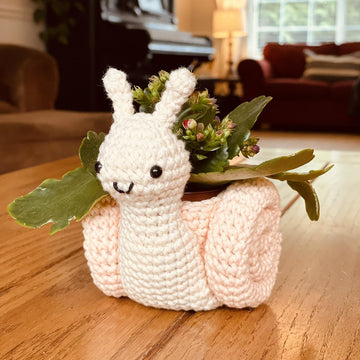 Snail Plant Holder