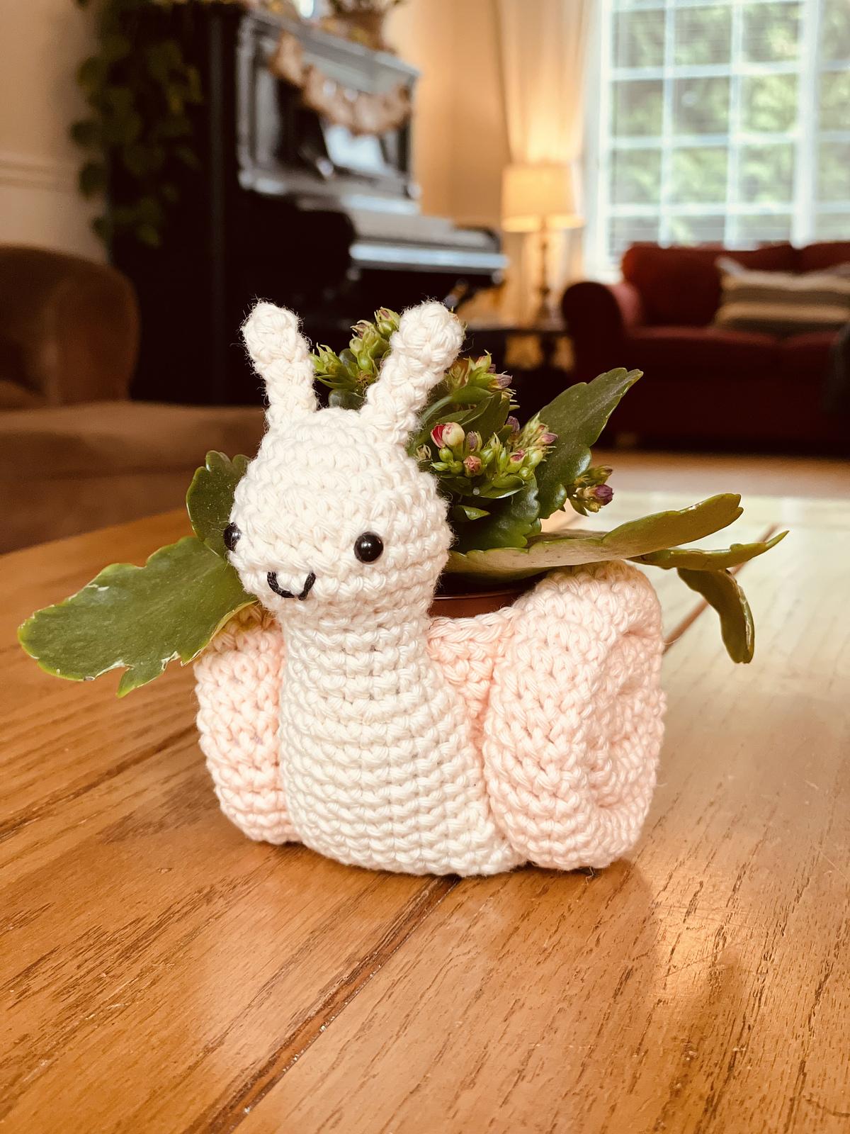 Snail Plant Holder