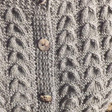 Old Seashell