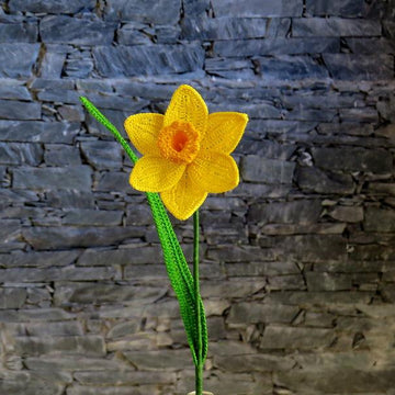 Daffodil long stem
