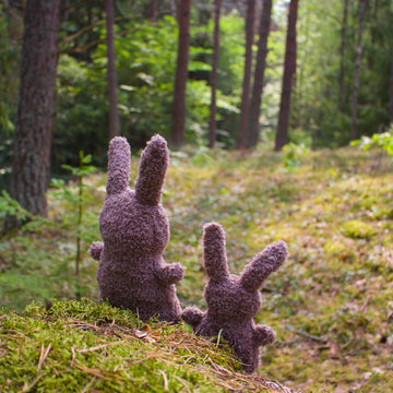 Mama and Baby Rabbit