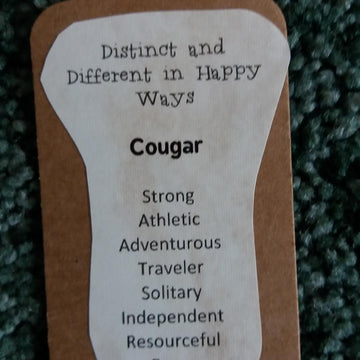 Cougar or mountain lion