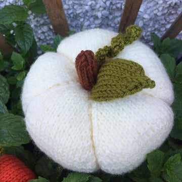 Pumpkin Duo