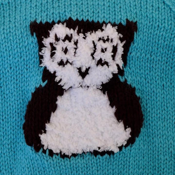 Cute Owl Hoodie