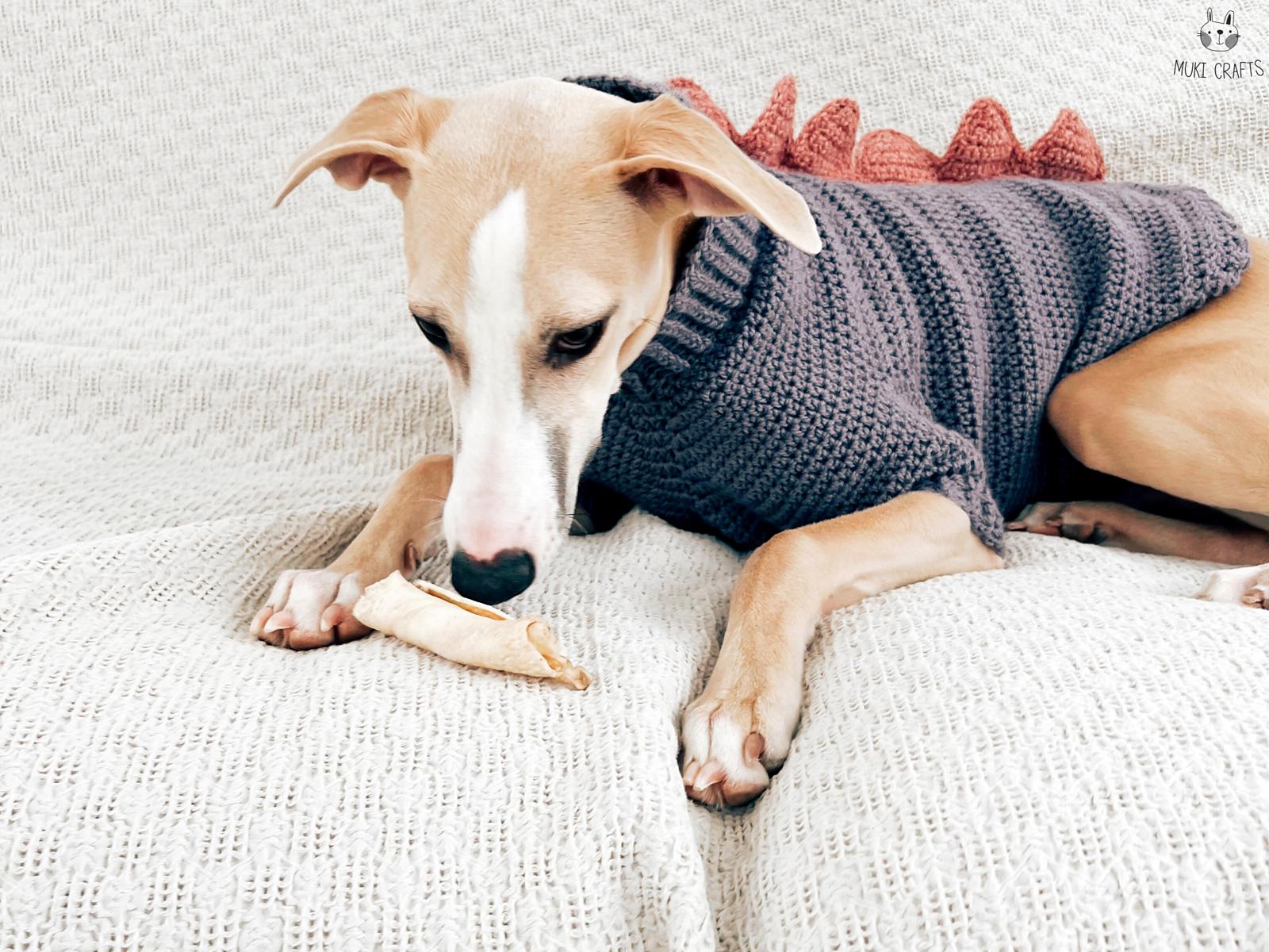 Doggo no 6 sweater