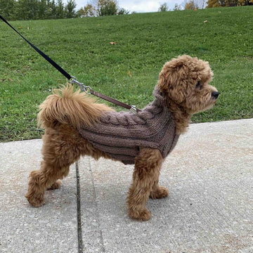 Dog Fancy Braid Vest