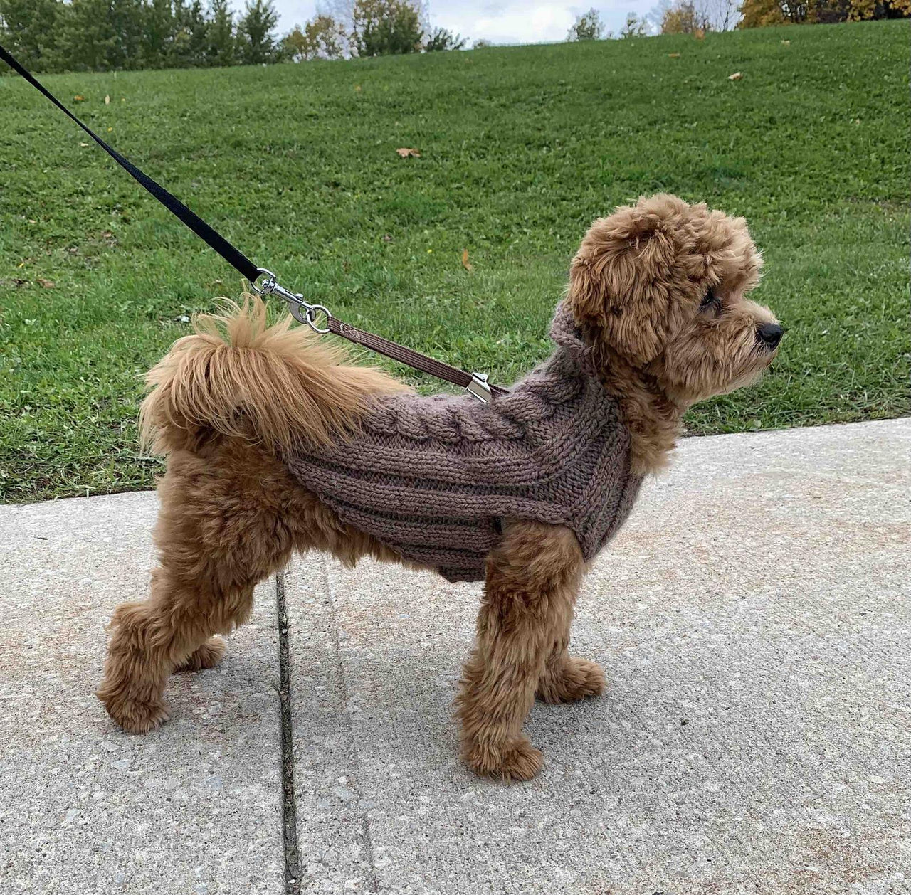 Dog Fancy Braid Vest