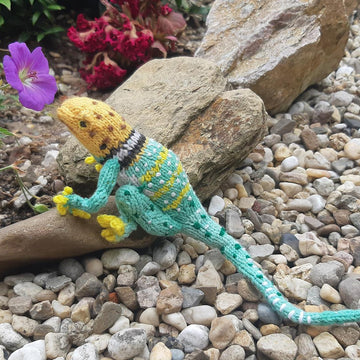Lustrous lizards