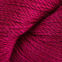 Raspberry (323)