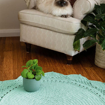 Aster Crochet Rug and Doily Pattern