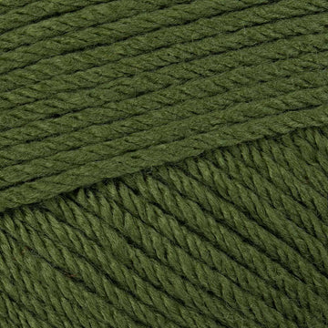 Olive (70013)