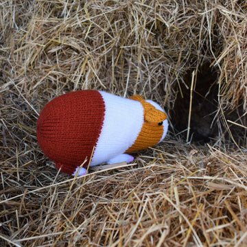 Gordon the Guinea Pig