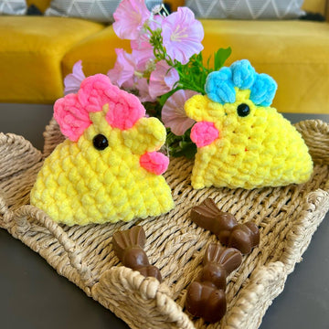 Sally The Spring Chicken