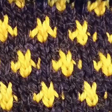 Miss Bee Haven Socks