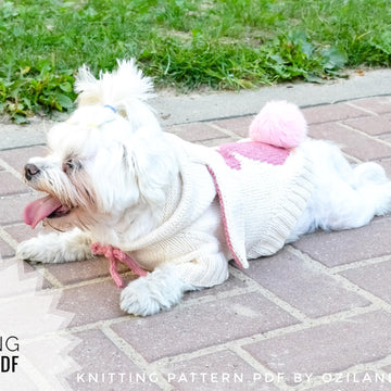 Easter bunny hoodie for dog