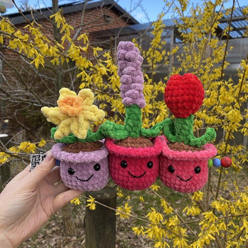 Potted Spring Flower