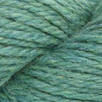 Seagrass (132)