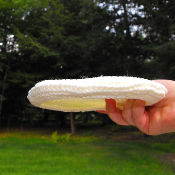 Glow In The Dark Frisbee