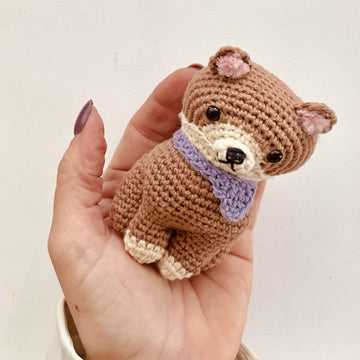 Mini Pomeranian