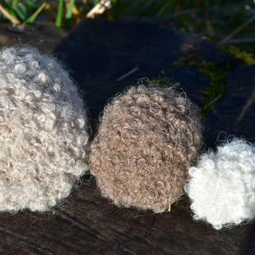 Hedgehog Woodland collection