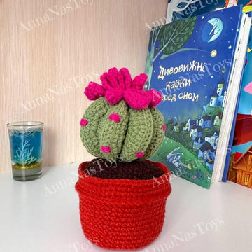 Cactus in a pot