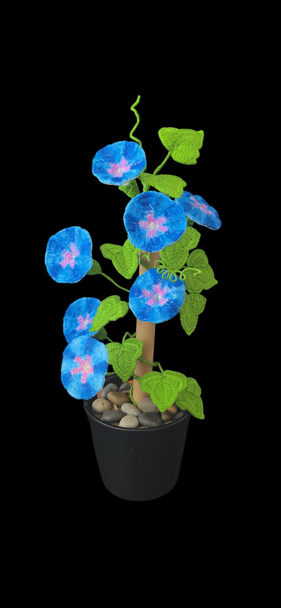 Crochet Morning Glory flowers pattern