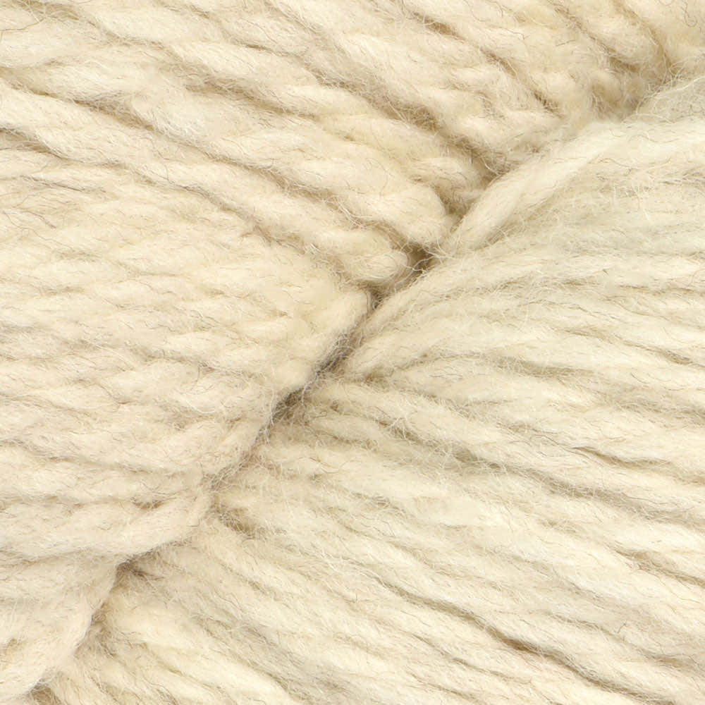 Cascade Yarns Ecological Wool