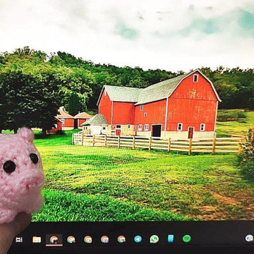 A smol piggy called Bacon