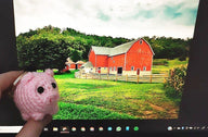 A smol piggy called Bacon