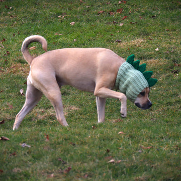 Dinosaur Dog Snood