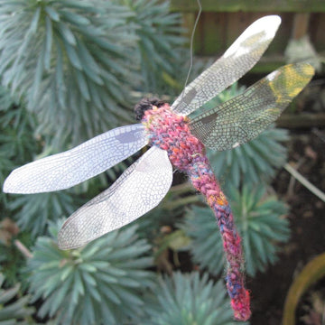 Dragonfly