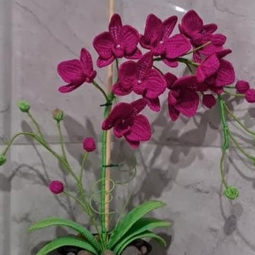 Crochet Orchid flower