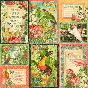 Graphic 45 Lost In Paradise Double-Sided Cardstock 12"X12" - Hypnotic Horizons