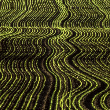 Crossed Furrows Cowl
