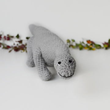 Dinosaur Diplodocus